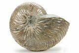 Cretaceous-Aged, Fossil Nautilus - Red Iridescence #229513-1